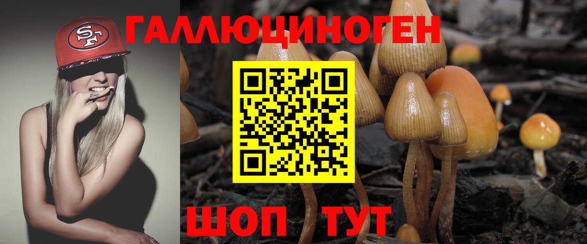 Асино  Галлюциногенные грибы Cubensis  Вход с VPN 